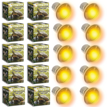 Carregar imagem no visualizador da galeria, ´Comida pogonas Dragon Grub Exo Terra Insect Food