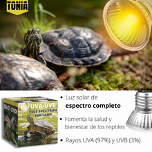 Carregar imagem no visualizador da galeria, ´Comida pogonas Dragon Grub Exo Terra Insect Food