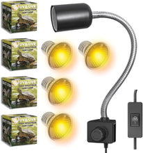 Carregar imagem no visualizador da galeria, ´Comida pogonas Dragon Grub Exo Terra Insect Food