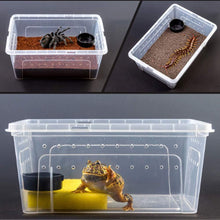 Carregar imagem no visualizador da galeria, Box de alimentação ReptilHábitat - ReptilHábitat