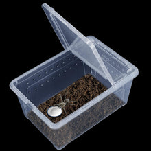 Carregar imagem no visualizador da galeria, Box de alimentação ReptilHábitat - ReptilHábitat