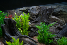 Carregar imagem no visualizador da galeria, Rocky Bottoms - Vários modelos - Do 7 ao 13