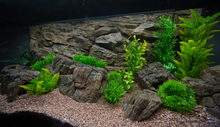 Carregar imagem no visualizador da galeria, Rocky Bottoms - Vários modelos - Do 7 ao 13