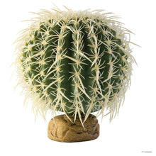 Carregar imagem no visualizador da galeria, Cactus Barrel - Exo Terra Desert Plant
