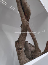 Carregar imagem no visualizador da galeria, 100x50x75 (6786352349383)