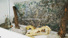 Carregar imagem no visualizador da galeria, 60x30x30 (6965689843911)