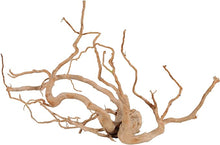 Carregar imagem no visualizador da galeria, ramo de cuco natural