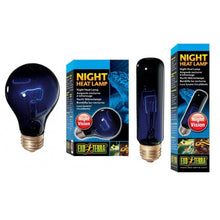 Carregar imagem no visualizador da galeria, Bombilla NIGTH Exo-Terra (6748940566727)