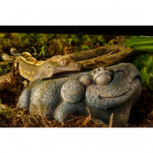 Carregar imagem no visualizador da galeria, Bebedero FROG AZTECA Exo-Terra (6748941484231)