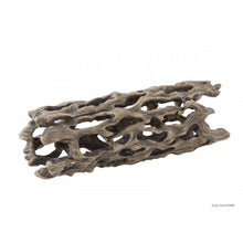 Carregar imagem no visualizador da galeria, Esqueleto de CACTUS CHOLLA Exo-Terra (6748941287623)