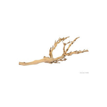 Carregar imagem no visualizador da galeria, Rama FOREST BRANCH Exo-Terra (6748941385927)