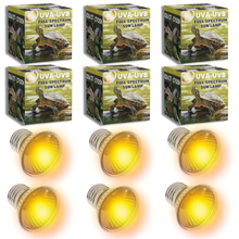Carregar imagem no visualizador da galeria, ´Comida pogonas Dragon Grub Exo Terra Insect Food

