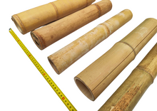 Carregar imagem no visualizador da galeria, Cana grossa de bambu aprox. 45cm
