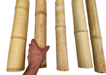 Carregar imagem no visualizador da galeria, Cana grossa de bambu aprox. 45cm
