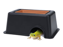 Carregar imagem no visualizador da galeria, Caverna Húmida - ReptilHabitat
