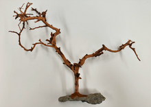 Carregar imagem no visualizador da galeria, Árvore natural com base de pedra
