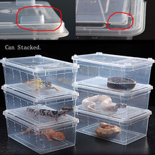 Carregar imagem no visualizador da galeria, Box de alimentação ReptilHábitat - ReptilHábitat
