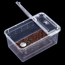 Carregar imagem no visualizador da galeria, Box de alimentação ReptilHábitat - ReptilHábitat
