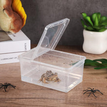 Carregar imagem no visualizador da galeria, Box de alimentação ReptilHábitat - ReptilHábitat
