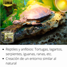 Carregar imagem no visualizador da galeria, ´Comida pogonas Dragon Grub Exo Terra Insect Food
