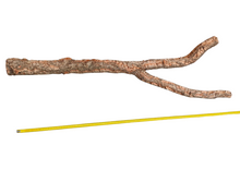 Carregar imagem no visualizador da galeria, Ramo de cortiça maciça GRANDE 140 cm aprox.
