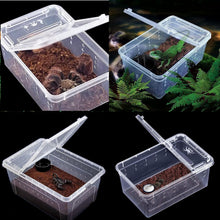 Carregar imagem no visualizador da galeria, Box de alimentação ReptilHábitat - ReptilHábitat
