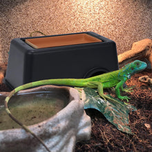Carregar imagem no visualizador da galeria, Caverna Húmida - ReptilHabitat
