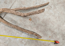 Carregar imagem no visualizador da galeria, Ramo de cortiça maciça GRANDE 150 cm aprox.
