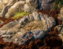 Carregar imagem no visualizador da galeria, Bebedouro enterrado ao nível do chão

