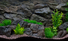 Carregar imagem no visualizador da galeria, Rocky Bottoms - Vários modelos - Do 7 ao 13

