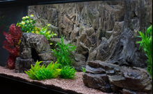 Carregar imagem no visualizador da galeria, Rocky Bottoms - Vários modelos - Do 7 ao 13
