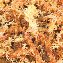 Carregar imagem no visualizador da galeria, Musgo Sphagnum Substrato Terrário Tropical, 4.5 l
