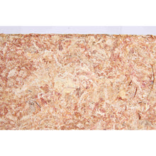 Carregar imagem no visualizador da galeria, Musgo Sphagnum Substrato Terrário Tropical, 4.5 l
