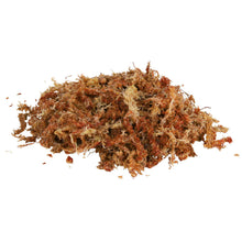 Carregar imagem no visualizador da galeria, Musgo Sphagnum Substrato Terrário Tropical, 4.5 l
