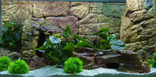 Carregar imagem no visualizador da galeria, Rocky Bottoms - Vários modelos - Do 7 ao 13
