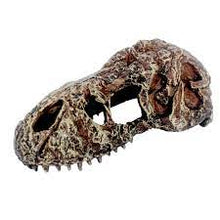 Carregar imagem no visualizador da galeria, Crânio de T-REX NANO
