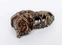 Carregar imagem no visualizador da galeria, Crânio de T-REX NANO
