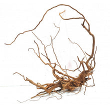 Carregar imagem no visualizador da galeria, Ramo de raiz Spider GRANDE
