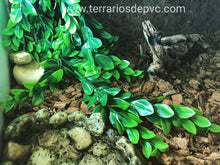 Carregar imagem no visualizador da galeria, 120x60x50 (6748943483079)
