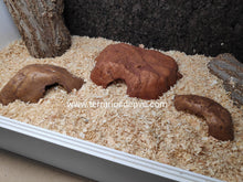 Carregar imagem no visualizador da galeria, CUEVA REPTILE CAVE EXO TERRA (6748939845831)
