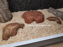 Carregar imagem no visualizador da galeria, CUEVA REPTILE CAVE EXO TERRA (6748939845831)
