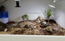 Carregar imagem no visualizador da galeria, 150x50x50 (6748939223239)
