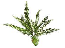 Carregar imagem no visualizador da galeria, Planta de feto artificial de 35 cm para terrários - ReptilHabitat
