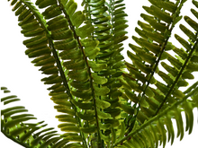 Carregar imagem no visualizador da galeria, Planta de feto artificial de 35 cm para terrários - ReptilHabitat
