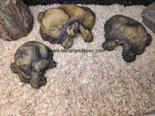 Carregar imagem no visualizador da galeria, CUEVA NATURAL HIDING EXO TERRA (6748940009671)
