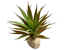 Carregar imagem no visualizador da galeria, Planta Ananás decorativa para terrários - ReptilHábitat
