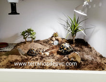 Carregar imagem no visualizador da galeria, 75x40x40 (6748938928327)
