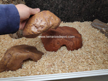 Carregar imagem no visualizador da galeria, CUEVA REPTILE CAVE EXO TERRA (6748939845831)
