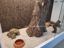 Carregar imagem no visualizador da galeria, Fondo decorativo de corcho para terrarios (6748942205127)
