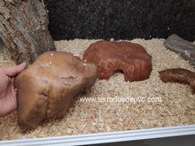 Carregar imagem no visualizador da galeria, CUEVA REPTILE CAVE EXO TERRA (6748939845831)
